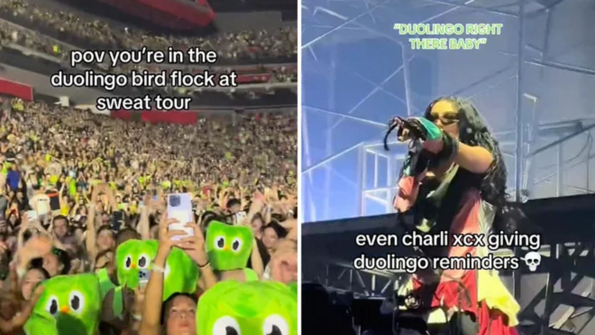 Digital Marketing & Ad Tech News Inside Duolingo’s viral TikTok stunt at Charli XCX’s concert—guerrilla marketing lessons for brands